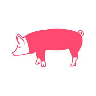 sica carni mezzena suino